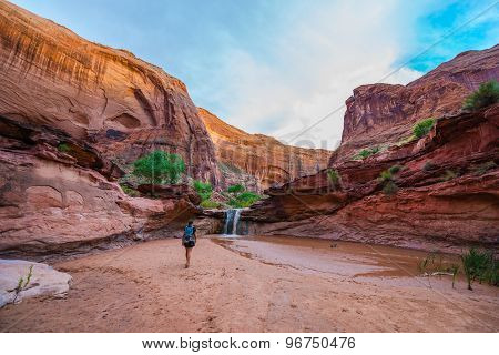 Girl Hiker Walking Towards The Waterfall Coyote Gulch Escalante