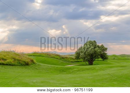 Cloudy sky over the course with tree, mountains in the background, Turkey.