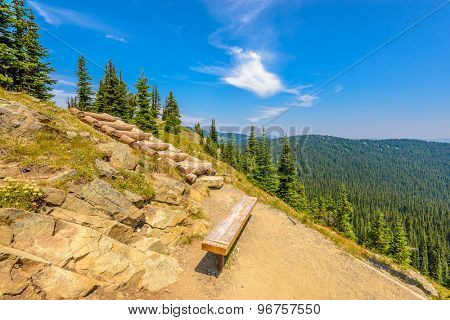 Beautiful Mountain Trail. Staircase and picnic bench. Blackwall Peak Trail at Manning Park in British Columbia. Canada.