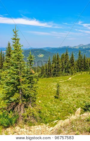 Rocky Mountains. Coastal Mountains. Blackwall Peak trail in Manning Park. British Columbia. Canada.