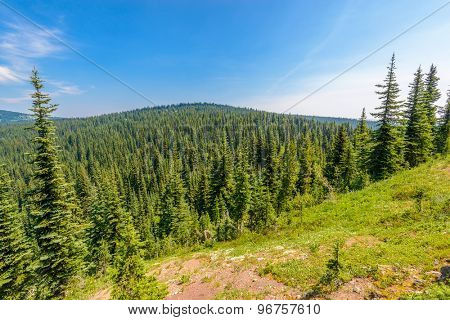 Rocky Mountains. Coastal Mountains. Blackwall Peak trail in Manning Park. British Columbia. Canada.