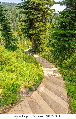 Beautiful Mountain Trail. Staircase. Blackwall Peak Trail at Manning Park in British Columbia. Canada.