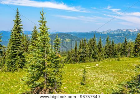 Rocky Mountains. Coastal Mountains. Blackwall Peak trail in Manning Park. British Columbia. Canada.