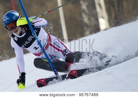 GARMISCH PARTENKIRCHEN, GERMANY. Feb 14 2011: Benjamin Raich (AUT) competing in the men's slalom at the 2011 Alpine skiing World Championships