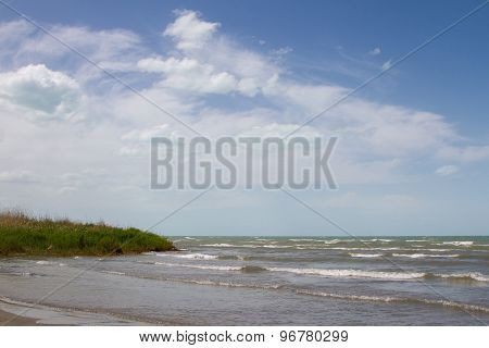 Beach With Reeds