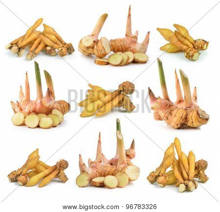 Galangal And Fingerroot, Kaempfer, Boesenbergia On White Background