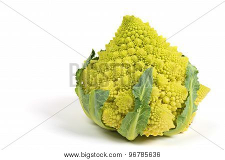 Romanesco broccoli