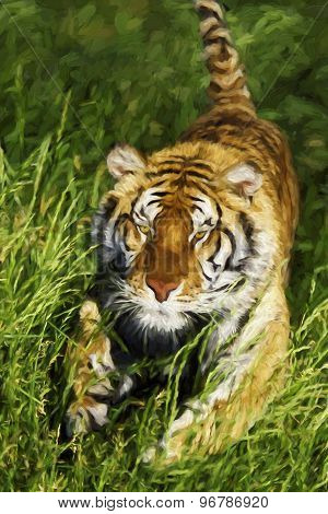 Fine Art Print Of Bengal Tiger Charging Through Grass