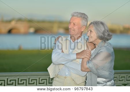 Happy mature couple looking at town