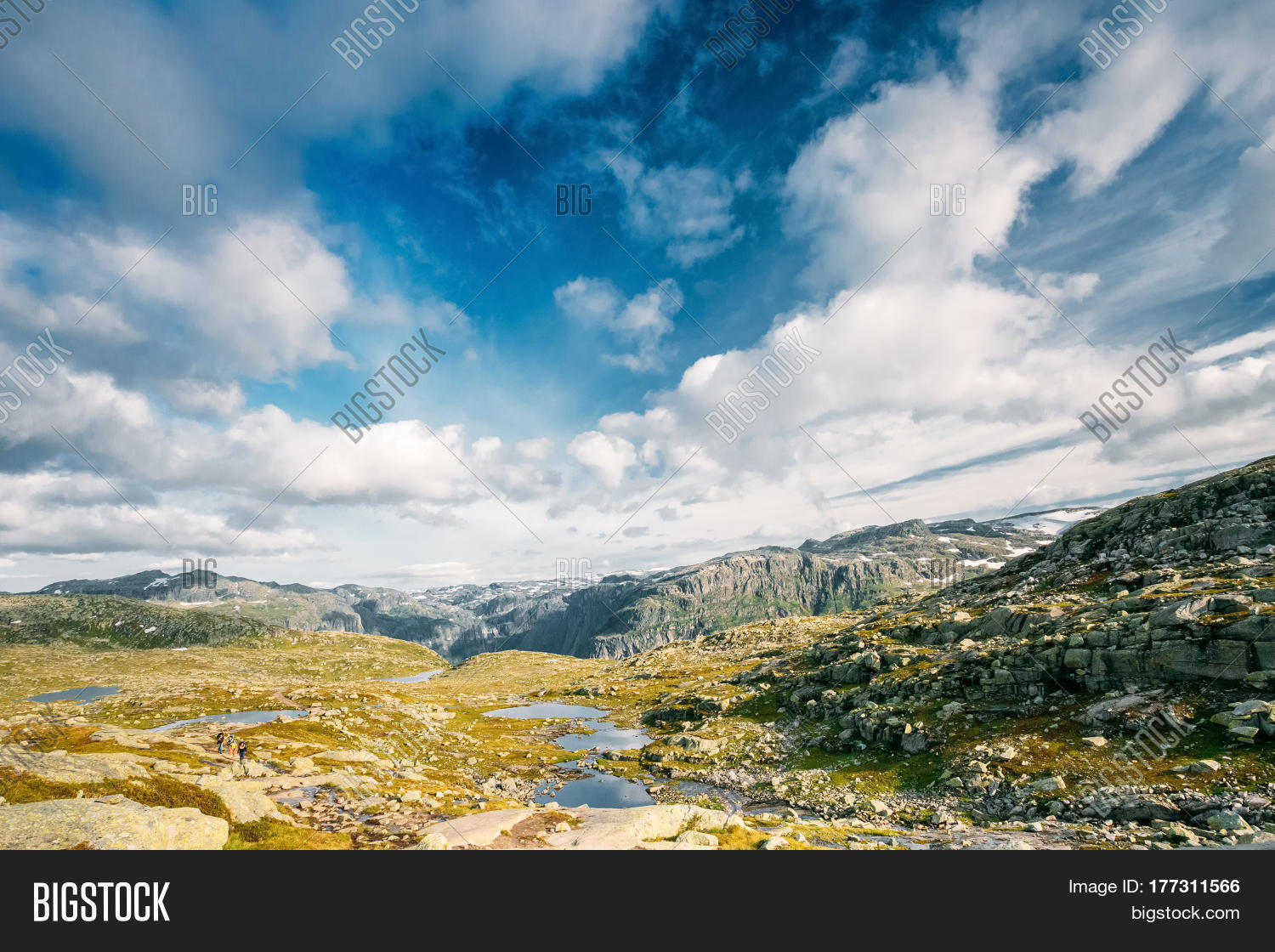Image Preview