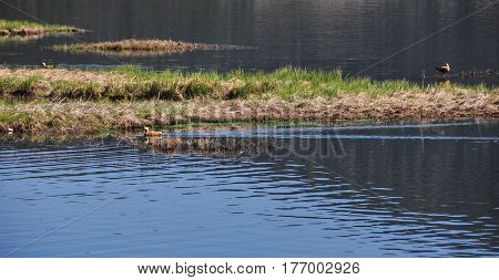 Pudacuo National Park In Yunnan, China
