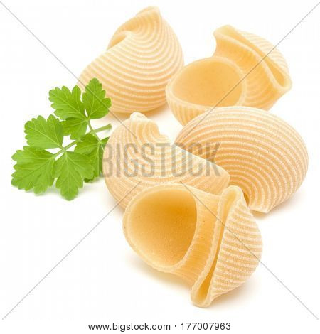 Italian lumaconi isolated on white background. Lumache, snailshell shaped pasta.