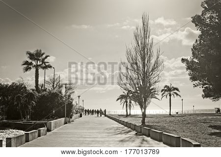Mallorca Spring Backlight