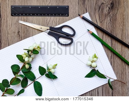 Closeup of stationery notebook pencils scissors ruler on wooden background decorated with green snowberry branches. School or university supplies. Top view flat lay view from above