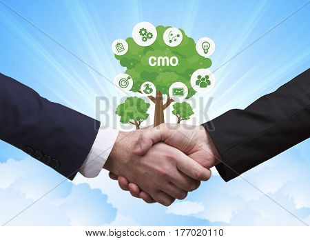 Technology, The Internet, Business And Network Concept. Businessmen Shake Hands: Cmo