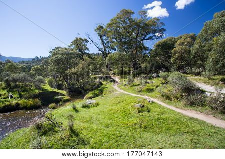 The walking trails along the Thredbo River at Lake Crackenback, New South Wales, Australia