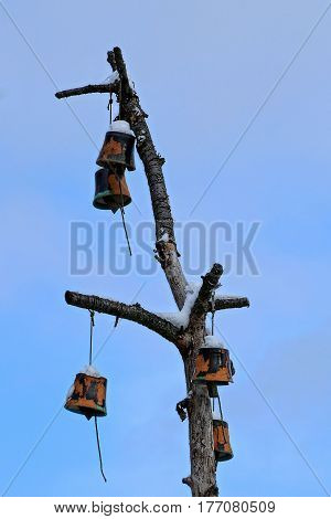 The old bells on a dry branch of a tree