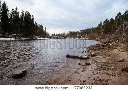 Mountain River In Summer Surrounded By Forest