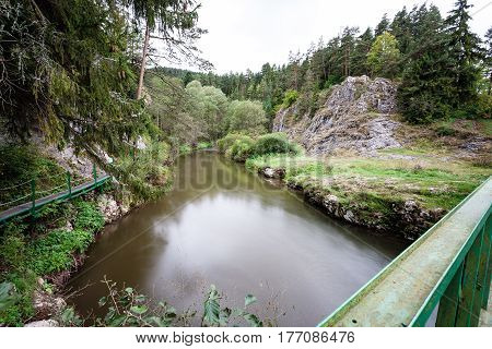 Mountain River In Summer Surrounded By Forest