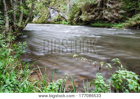 Mountain River In Summer Surrounded By Forest