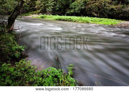 Mountain River In Summer Surrounded By Forest