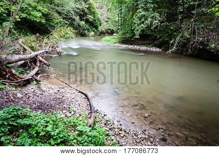 Mountain River In Summer Surrounded By Forest