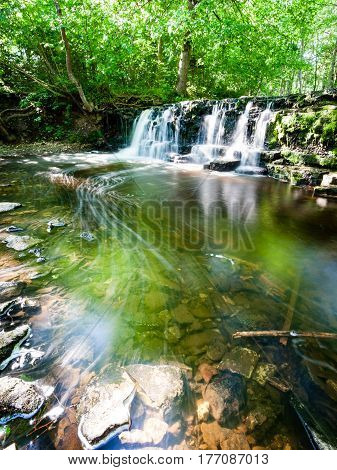 Mountain River In Summer Surrounded By Forest