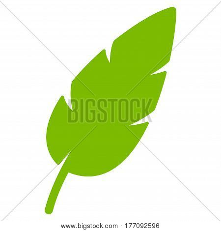Feather vector icon. Flat eco green symbol. Pictogram is isolated on a white background. Designed for web and software interfaces.