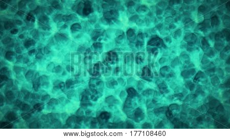 Beautiful Ocean Bottom Background. The Rays Of The Sun Make Their Way To The Bottom