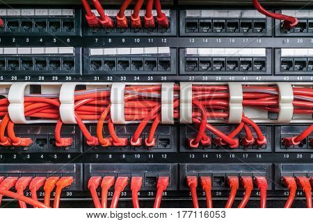 Server rack with red internet patch cord cables connected to patch panel in server room