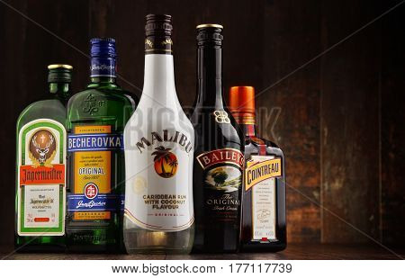 POZNAN POLAND - MAR 16 2016: Historical descendants of herbal medicines liqueurs are drinks made from distilled spirit flavored with fruit cream herbs spices flowers or nuts and added sugar