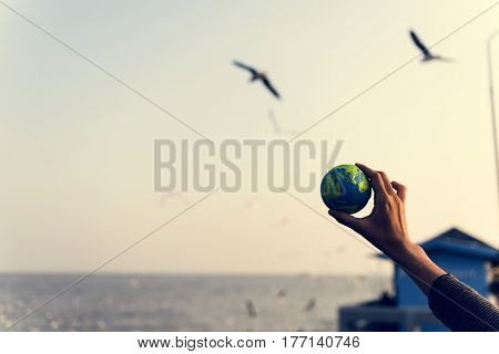 Beauty Nature Outdoors Outside Sunlight
