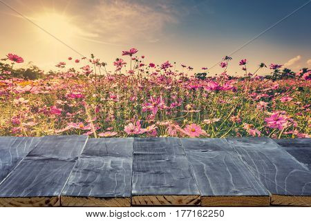 Empty Wood Table Top For Product Display Montage And Cosmos Flowre And Sunlight In Garden.