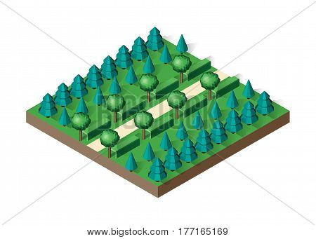 Isometric view projection summer landscape. Nature appearance of park with trees. Stock vector.
