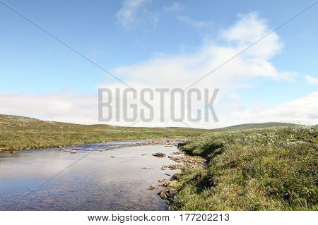 Tundra Landscape