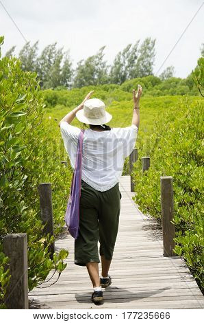 Traveler Thai Woman Walking On Wooden Bridge For Travel And Visit Golden Mangrove Field Thai Name Tu