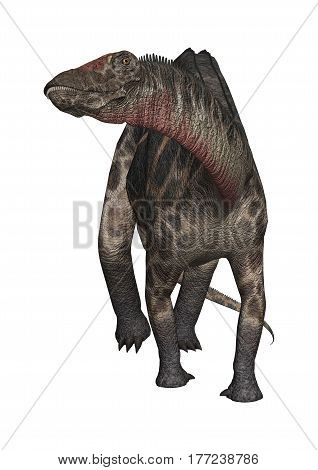 3D Rendering Dinosaur Dicraeosaurus On White