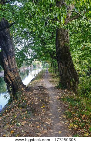 Park of Grugnotorto (Lombardy Italy) between Milan and Brianza in autumn. Path for bicycle and pedestrian along the Villoresi canal