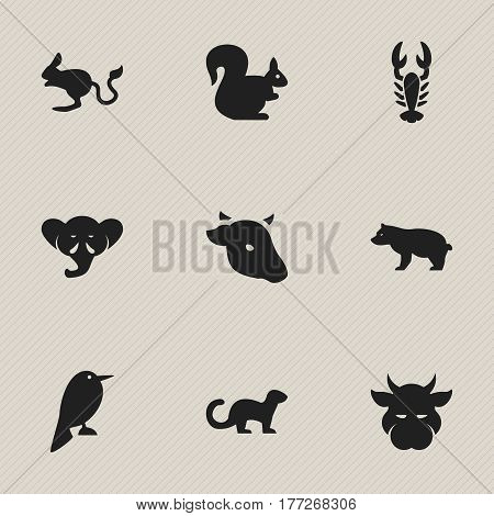 Set Of 9 Editable Nature Icons. Includes Symbols Such As Polar Animal, Proboscis, Wild Rodent And More. Can Be Used For Web, Mobile, UI And Infographic Design.