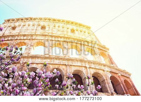 ruins of Colosseum, close up details of facade with sunshine at spring day, Rome Italy