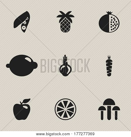 Set Of 9 Editable Vegetarian Icons. Includes Symbols Such As Lemon, Champignon, Sativum And More. Can Be Used For Web, Mobile, UI And Infographic Design.