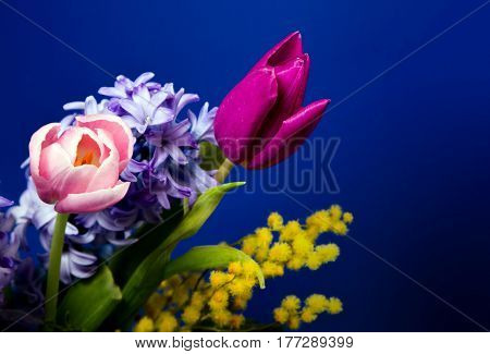 Beautifu springl flowers blossom on blue dark background for postcard for mother day