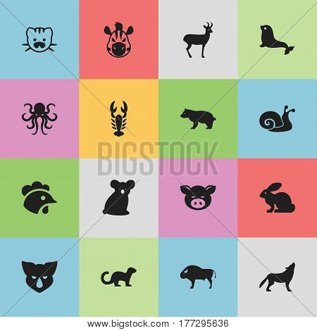 Set Of 16 Editable Zoo Icons. Includes Symbols Such As Crawfish, Wolf, Beast And More. Can Be Used For Web, Mobile, UI And Infographic Design.