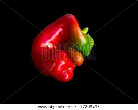 Misshapen red pepper on black background. Unusually shaped fruit and vegetables.