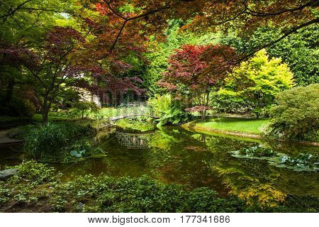 Bellagio city on Lake Como Italy. Lombardy region. Italian famous landmark Villa Melzi Park. Botanic Garden plants and trees
