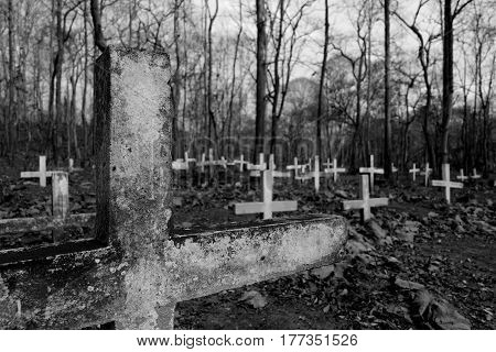 Tombstone graves with crosses in old cemetery black and white.