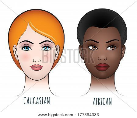 African and caucasian female faces vector illustration. Black and white beautiful women face set isolated on white background