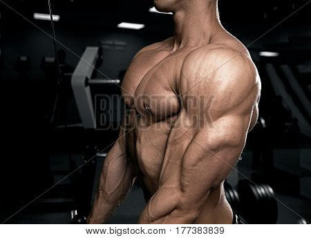 Triceps bodybuilder in the gym. Male sports pectoral muscles.