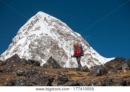 Trekker Approaching Pumori Mountain In Khumbu Valley On A Way To Everest Base Camp