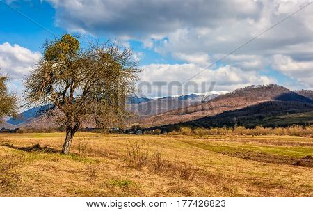 Spring Has Sprung In Rural Area